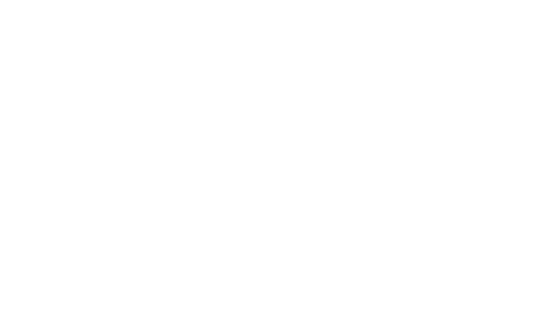 Grupo Niche